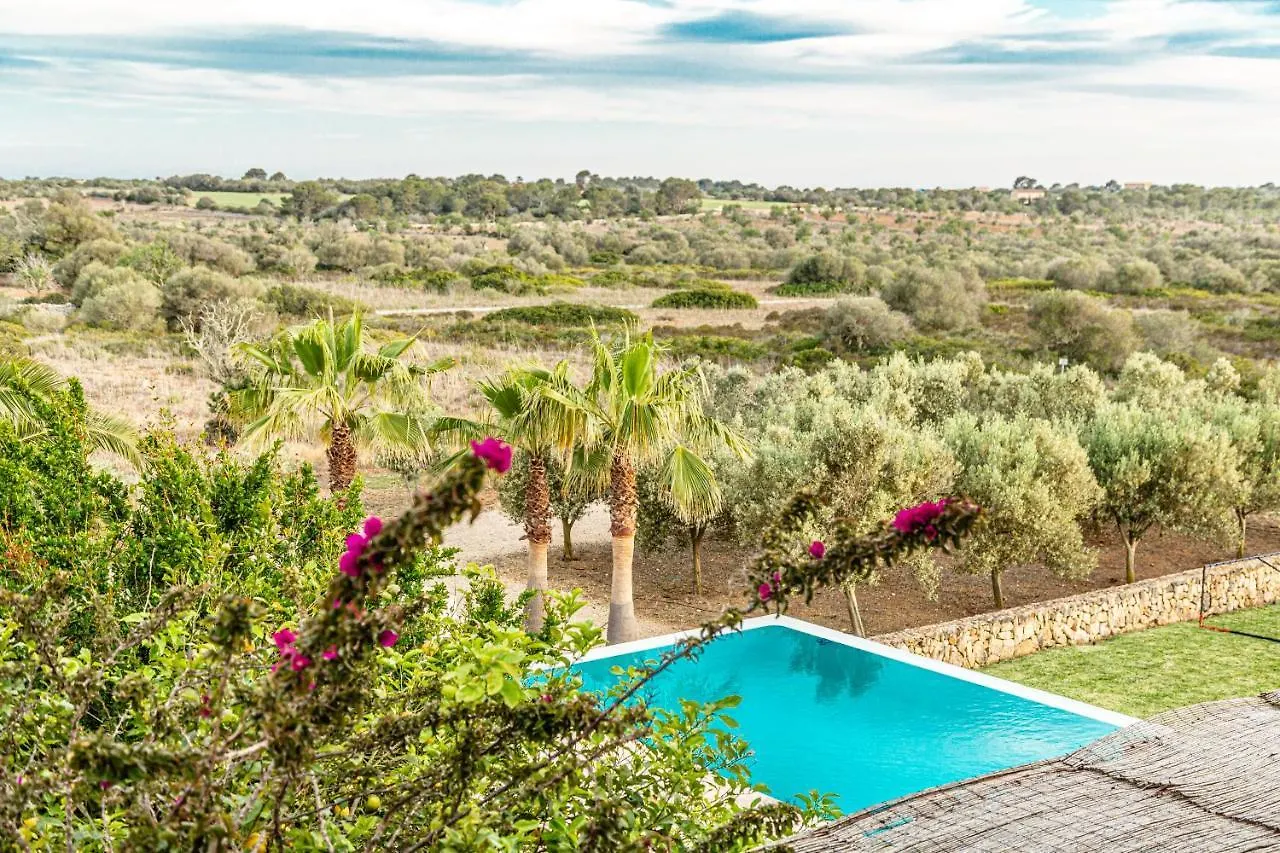 Villa Salamandra Ses Salines